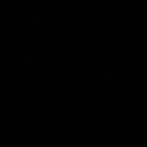 Meet your Posher, Caterina